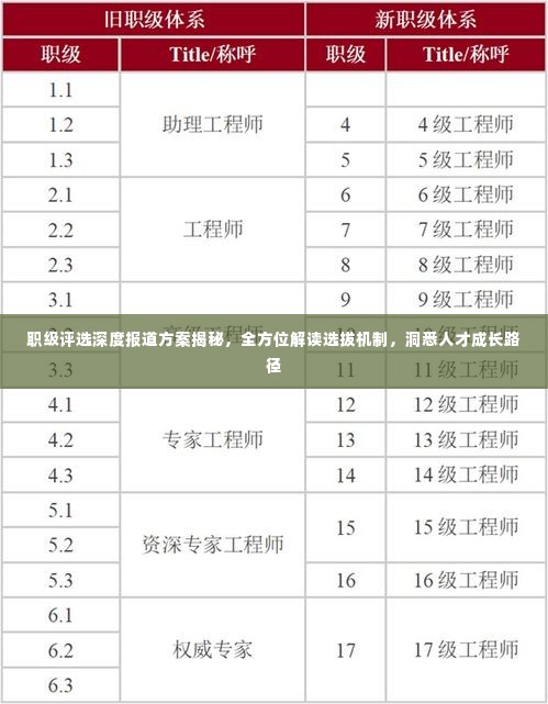 职级评选深度报道方案揭秘，全方位解读选拔机制，洞悉人才成长路径