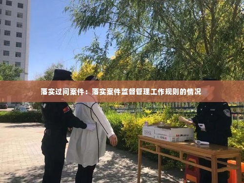 落实过问案件:落实案件监督管理工作规则的情况