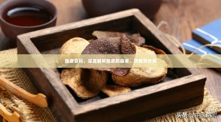 陈皮百科,深度解析陈皮的由来、功效及作用