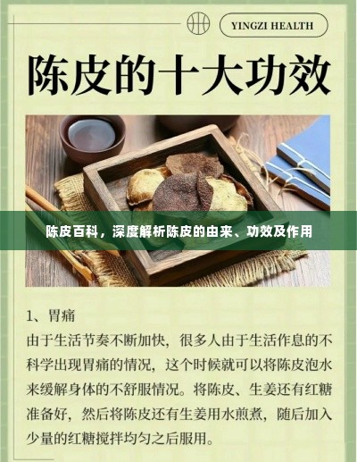 陈皮百科,深度解析陈皮的由来、功效及作用