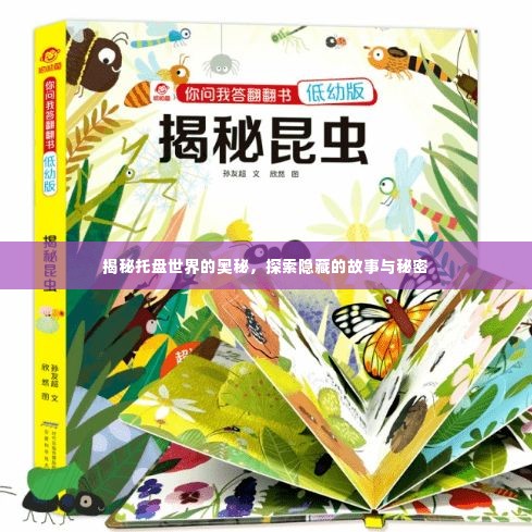 揭秘托盘世界的奥秘，探索隐藏的故事与秘密