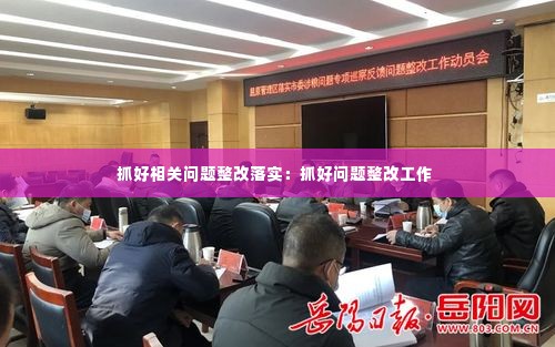 抓好相关问题整改落实:抓好问题整改工作