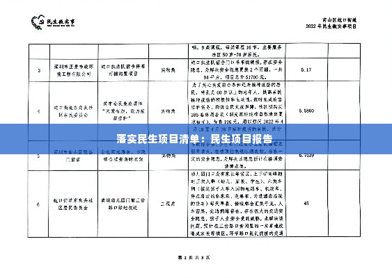 落实民生项目清单：民生项目报告 