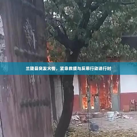 兰陵县突发火情，紧急救援与反思行动进行时