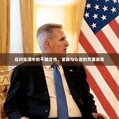 应对生活中的不确定性,策略与心态的双重调整