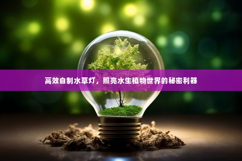 后会无期 第4页