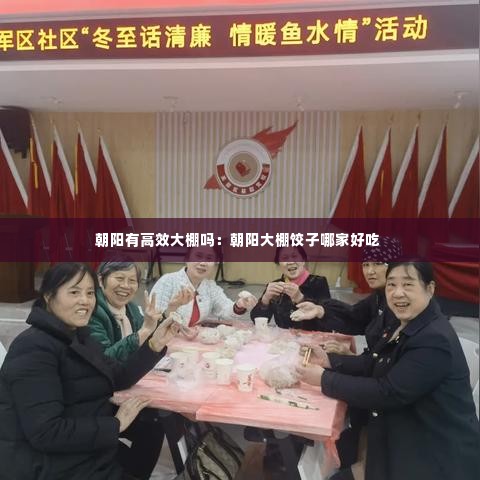 朝阳有高效大棚吗:朝阳大棚饺子哪家好吃