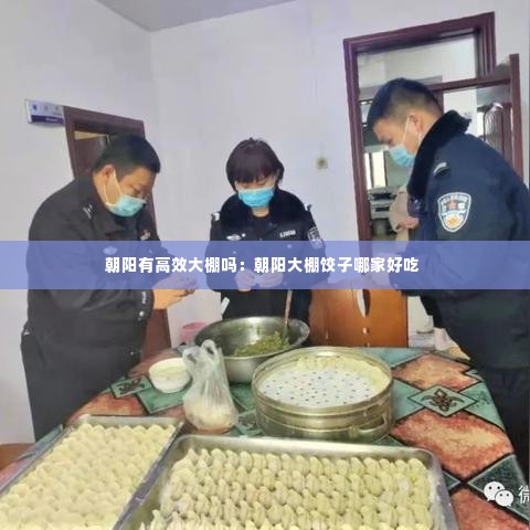 朝阳有高效大棚吗:朝阳大棚饺子哪家好吃