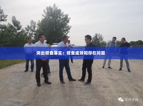 突出督查落实:督查成效和存在问题