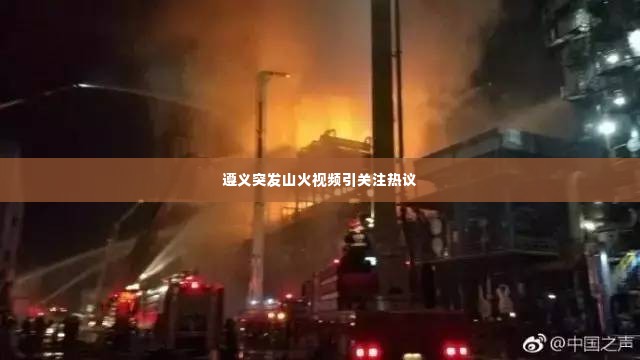 遵义突发山火视频引关注热议