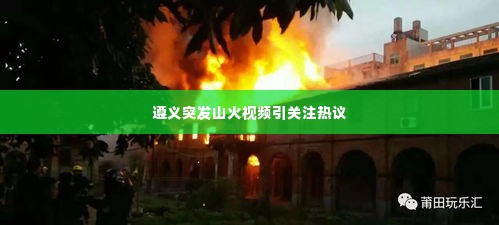 遵义突发山火视频引关注热议