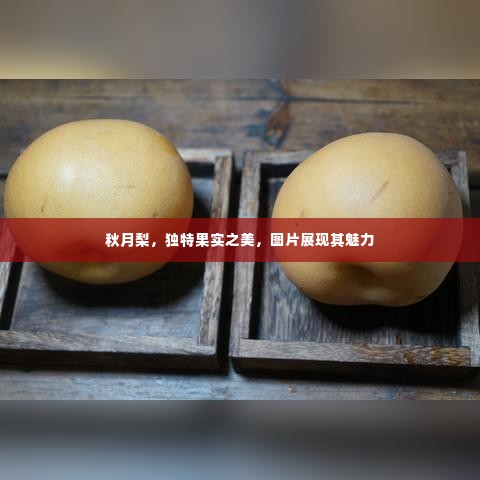 秋月梨,独特果实之美,图片展现其魅力