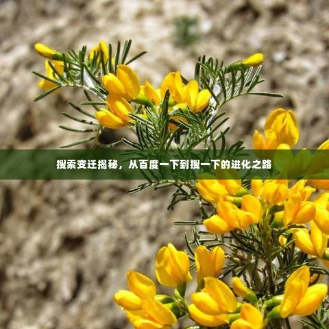 搜索变迁揭秘,从百度一下到搜一下的进化之路