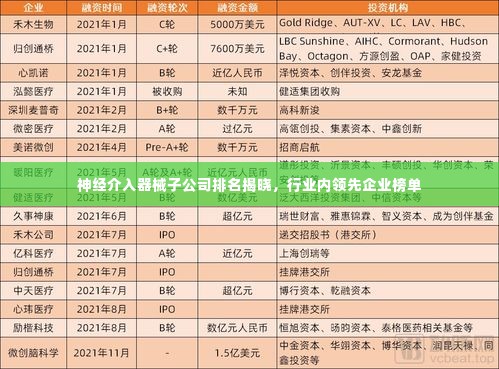 神经介入器械子公司排名揭晓,行业内领先企业榜单