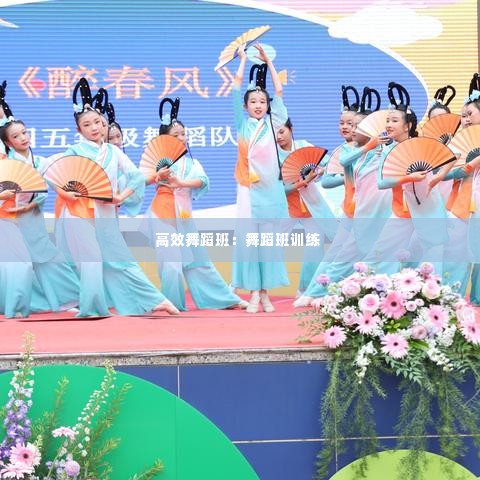 高效舞蹈班:舞蹈班训练