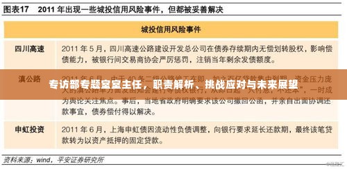 专访部专题室室主任,职责解析、挑战应对与未来展望