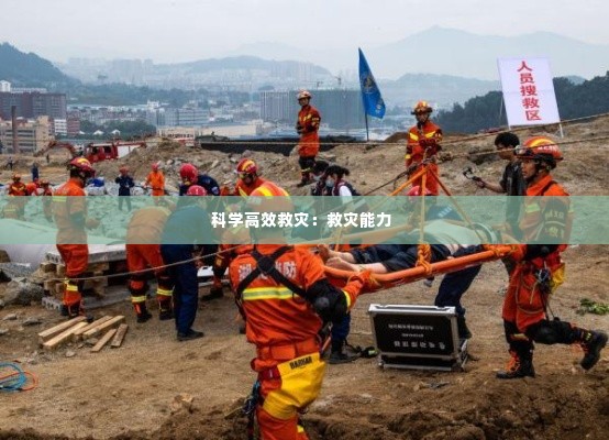 科学高效救灾：救灾能力 