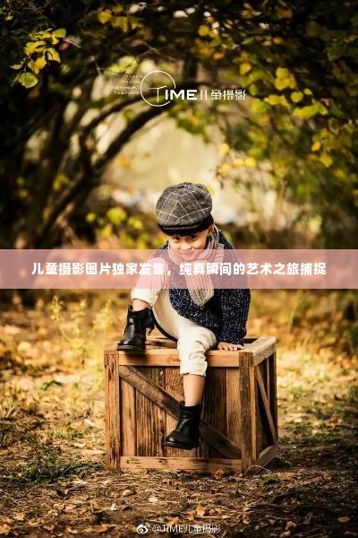 儿童摄影图片独家发售,纯真瞬间的艺术之旅捕捉