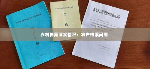农村档案落实情况:农户档案问题