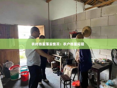 农村档案落实情况:农户档案问题