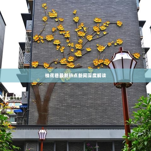 桂花巷最新热点新闻深度解读