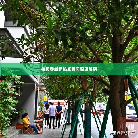 桂花巷最新热点新闻深度解读