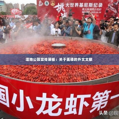 湿地公园宣传展板:关于离骚的外文文献