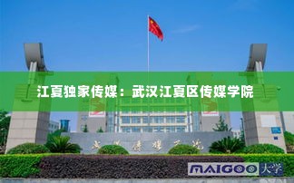 江夏独家传媒:武汉江夏区传媒学院