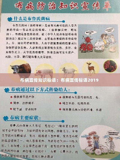 布病宣传知识标语:布病宣传标语2019