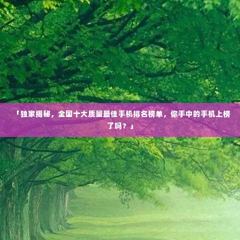 「独家揭秘,全国十大质量最佳手机排名榜单,你手中的手机上榜了吗?」