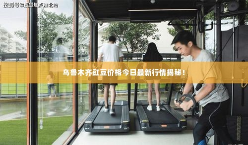 乌鲁木齐豇豆价格今日最新行情揭秘!