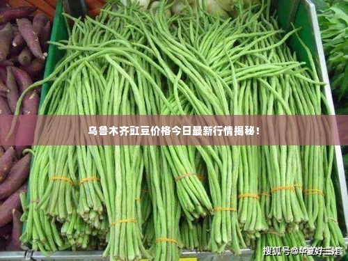 乌鲁木齐豇豆价格今日最新行情揭秘!