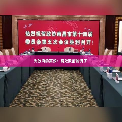 为政府的高效:高效政府的例子