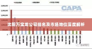沈阳万宝龙公司排名及市场地位深度解析