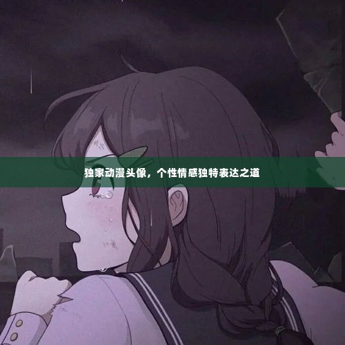 独家动漫头像,个性情感独特表达之道