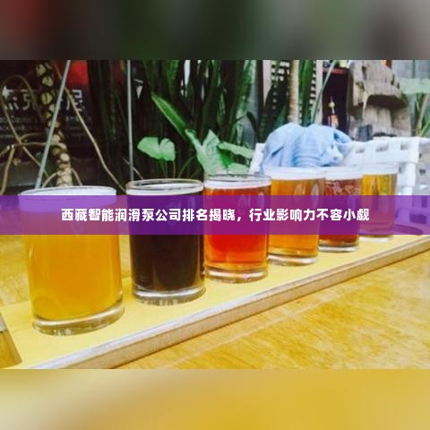 西藏智能润滑泵公司排名揭晓,行业影响力不容小觑