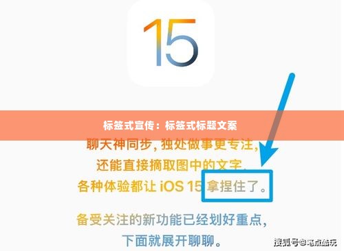 标签式宣传:标签式标题文案