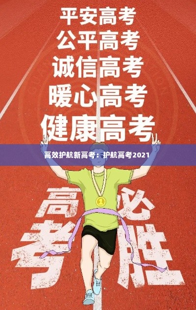 高效护航新高考：护航高考2021 