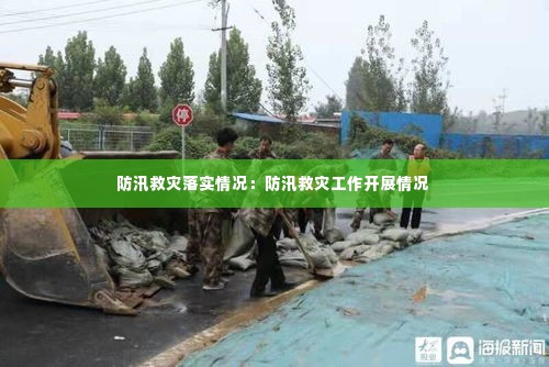 防汛救灾落实情况:防汛救灾工作开展情况