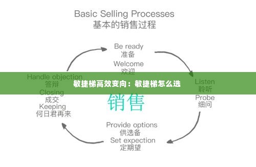 敏捷梯高效变向:敏捷梯怎么选