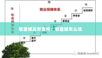 敏捷梯高效变向:敏捷梯怎么选
