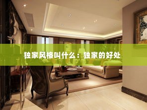 独家风格叫什么:独家的好处