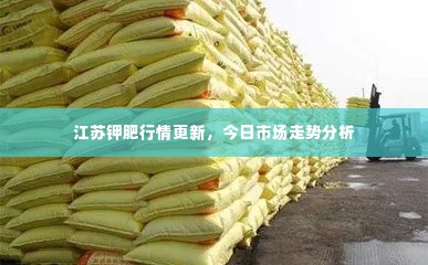 江苏钾肥行情更新,今日市场走势分析