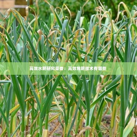 高效水肥研究荣誉:高效施肥技术有哪些