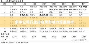 鼎字公司行业排名及影响力深度解析