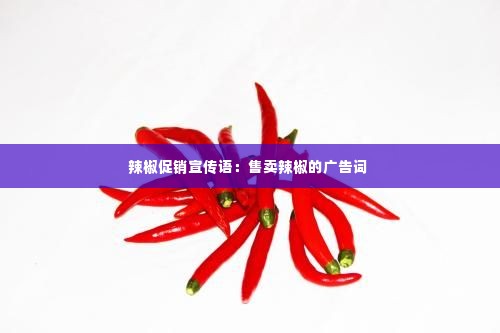 辣椒促销宣传语:售卖辣椒的广告词