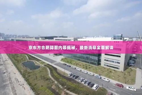 京东方合肥降薪内幕揭秘,最新消息全面解读