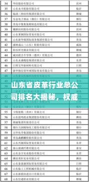 山东省皮革行业总公司排名大揭秘,权威解析TOP榜单!