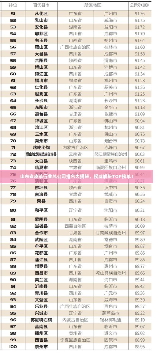 山东省皮革行业总公司排名大揭秘,权威解析TOP榜单!