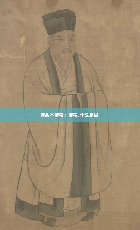 披肝沥胆 第4页